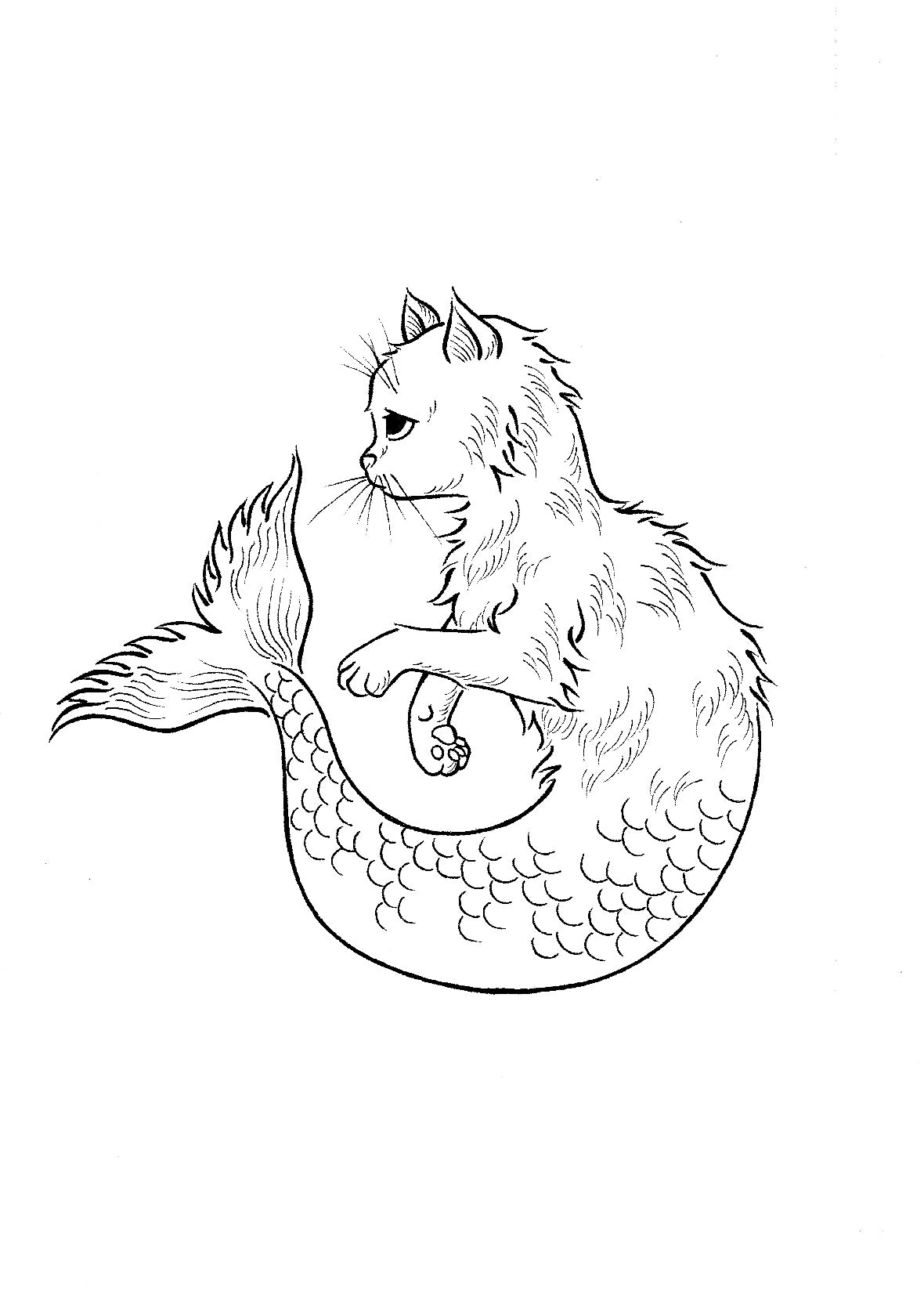 Shy Merkitten 5”x7” print